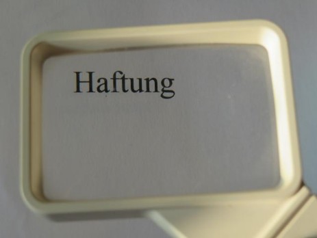 Lupe Haftung